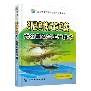邴旭文 正版 泥鳅黄鳝无公害安全生产技术 无公害水产品安全生产技术丛书 泥鳅黄鳝生态养殖新技术大全图书鳝鱼繁殖防治病技 书籍