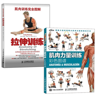 社运动书籍 肌肉力量训练彩色图谱彩印肌肉训练完全图解拉伸训练减肥健身和力量训练可视化指南训练动作人民邮电出版 全2册