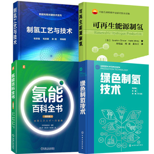 精华版 氢能百科全书 氢能利用关键技术系列 制氢工艺与技术 绿色制氢技术制氢工艺技术书籍 可再生能源制氢 全4册