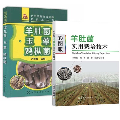 【全2册】彩图版羊肚菌实用栽培技术羊肚菌玉蕈鸡枞菌羊肚菌种植技术大棚高效栽培技术羊肚菌栽培食用菌栽培种植病虫害防治书籍