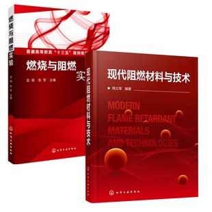 现代阻燃材料与技术资源产业发展情况阻燃机理阻燃剂阻燃材料阻燃材料测试方法阻燃材料环境安全 全2册 燃烧与阻燃实验 金杨