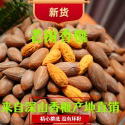 诸暨香榧子2025年新货零食坚果香妃干果老树香榧子净含量淡盐原味