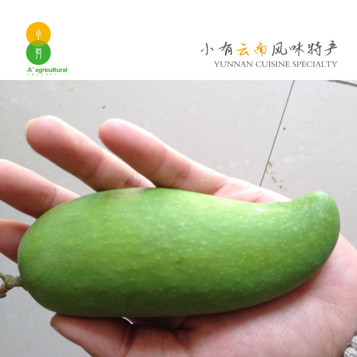 云南酸芒果生芒果新鲜包邮生吃酸脆小青芒果5斤包邮秒杀大青芒
