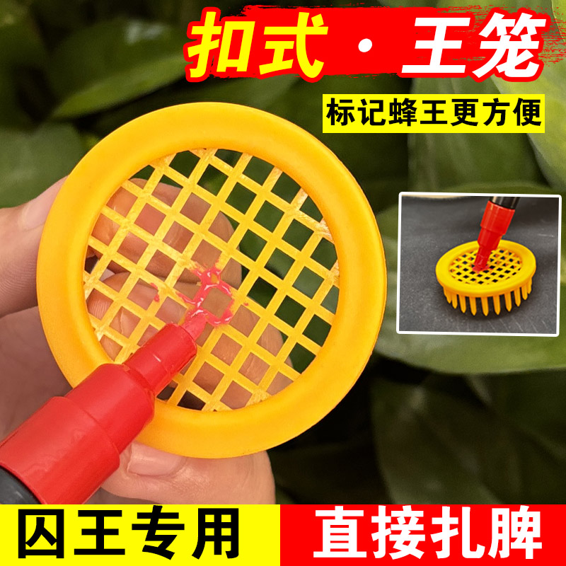 蜜蜂王笼针式多功能塑料