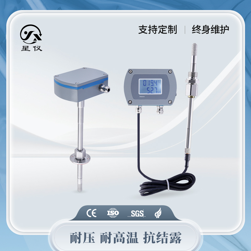 星仪CWS30插入型温湿度计