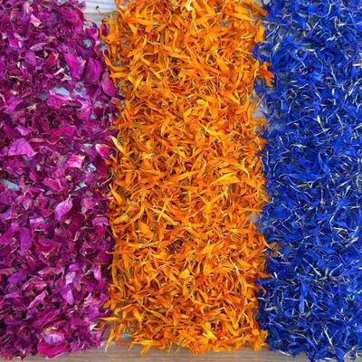 矢车菊干花dity手工混合花瓣