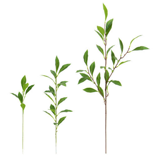 仿真茶树叶3D马醉木吊钟平替