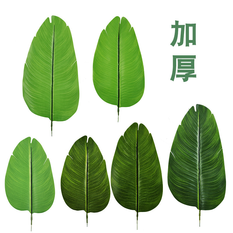 仿真绿植 高档加厚过胶 天堂鸟 大型绿色芭蕉树配件 摄影直播装饰