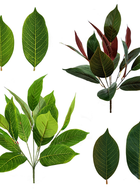 仿真绿色植物 玉兰叶把束 室内家居摆放 花店 婚庆布展幼儿园装饰