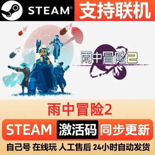 雨中冒险2 Steam 激活码 cdkey 全DLC 激活入库 PC 电脑单机游戏