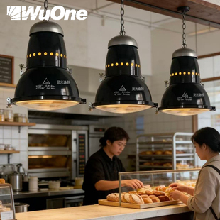 深蓝色铁材吊灯商业场合家用通用灯具 wuone灵光逸创复古工业风格