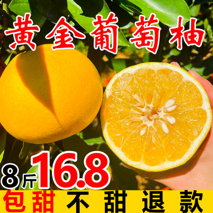 福建黄金葡萄柚新鲜整箱批发8斤平和琯溪非度尾文旦红心柚子当季