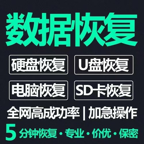 电脑U盘内存sd卡照片文件数据恢复软件移动硬盘修复开盘维修服务