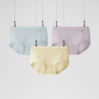 【Средняя талия】 Юань фиолетовый + вода орхидея + перо желтое