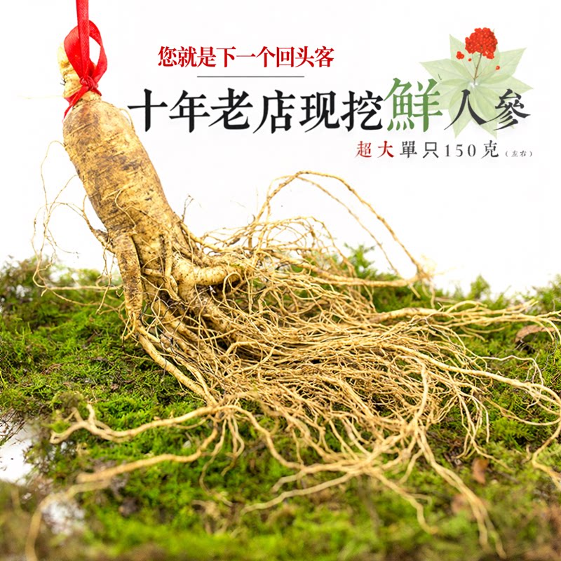 特大单枝150克新鲜人参长白山3两整枝即食无添加泡酒东北鲜山参