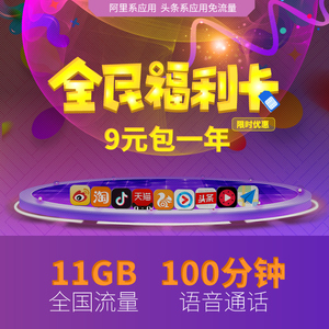 9元包邮  中国联通 宝卡 11GB流量/月  （共12个月）