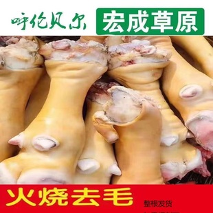 20斤新鲜原切牛蹄子整只商用绳牛脚筋肉去毛带骨免切黄牛蹄卤味