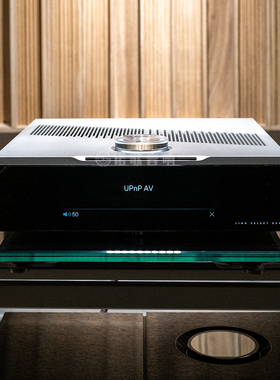 Linn莲Selekt DSM Edition Hub版立体声Organik DAC模块串流播放