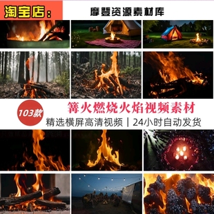 篝火晚会燃烧火焰火堆木柴火苗夜晚户外野炊温暖空境实拍视频素材