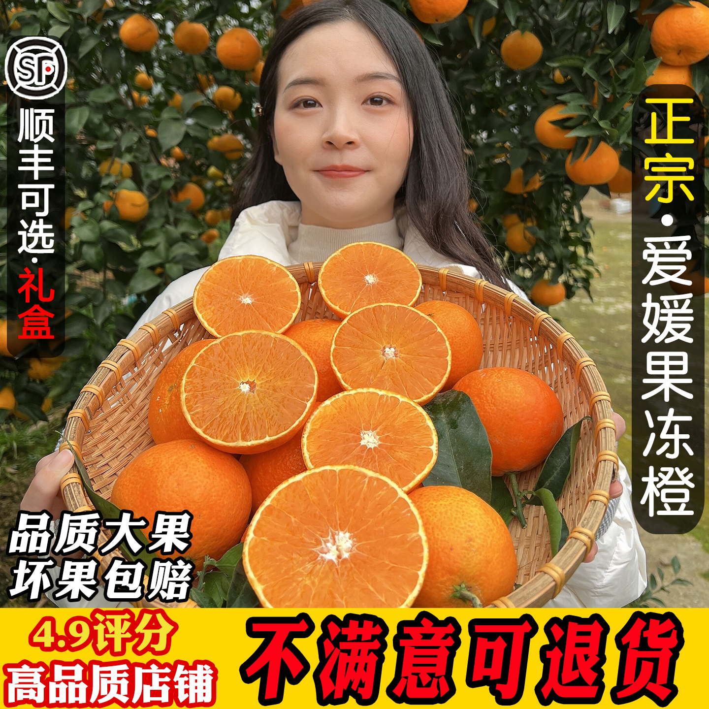 6年老店！正宗眉山爱媛果冻橙