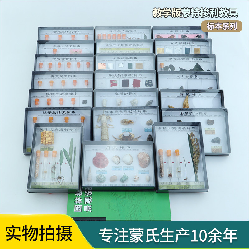 蒙氏蒙特梭利教具自然科学类大豆花生蝗虫化石棉花儿童动植物标本