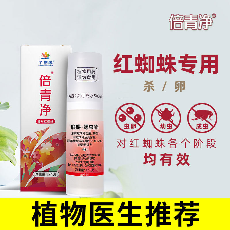 千百季倍青净红蜘蛛杀虫专用剂药花卉植物月季花家庭绿植通用白图片