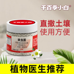 千百季小白药领胜呋虫胺花卉专用杀虫剂白粉虱蚧壳虫介壳虫小黑飞