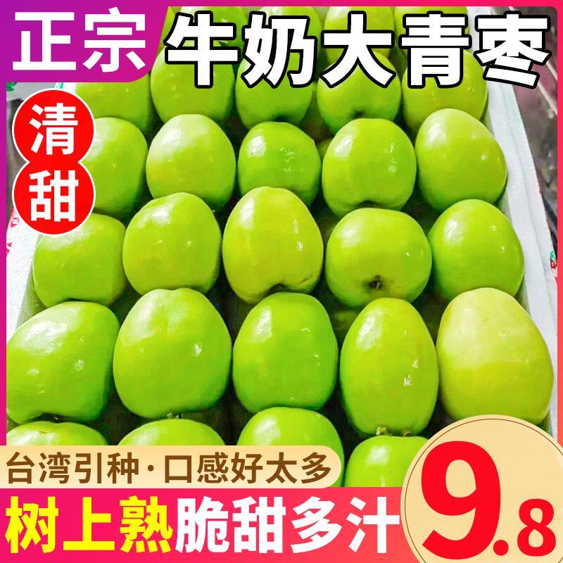 精品台湾牛奶大青枣新鲜水果现摘当季甜脆枣子蜜枣牛奶枣包邮