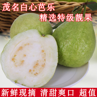 慧姑娘芭乐清甜可口番石榴