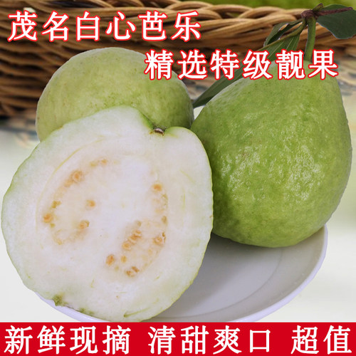 慧姑娘芭乐清甜可口番石榴