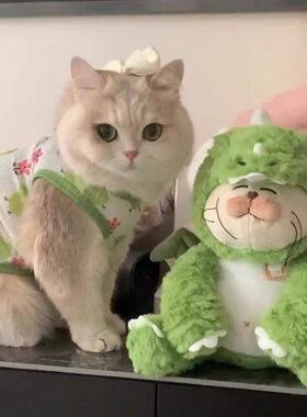 夏天猫咪衣服防掉毛网纱背心小狗狗夏季防晒服宠物金渐层布偶德文