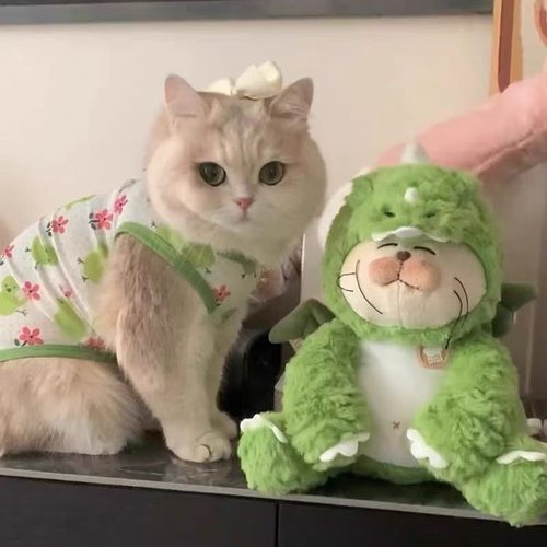 夏天猫咪衣服防掉毛网纱背心小狗狗夏季防晒服宠物金渐层布偶德文