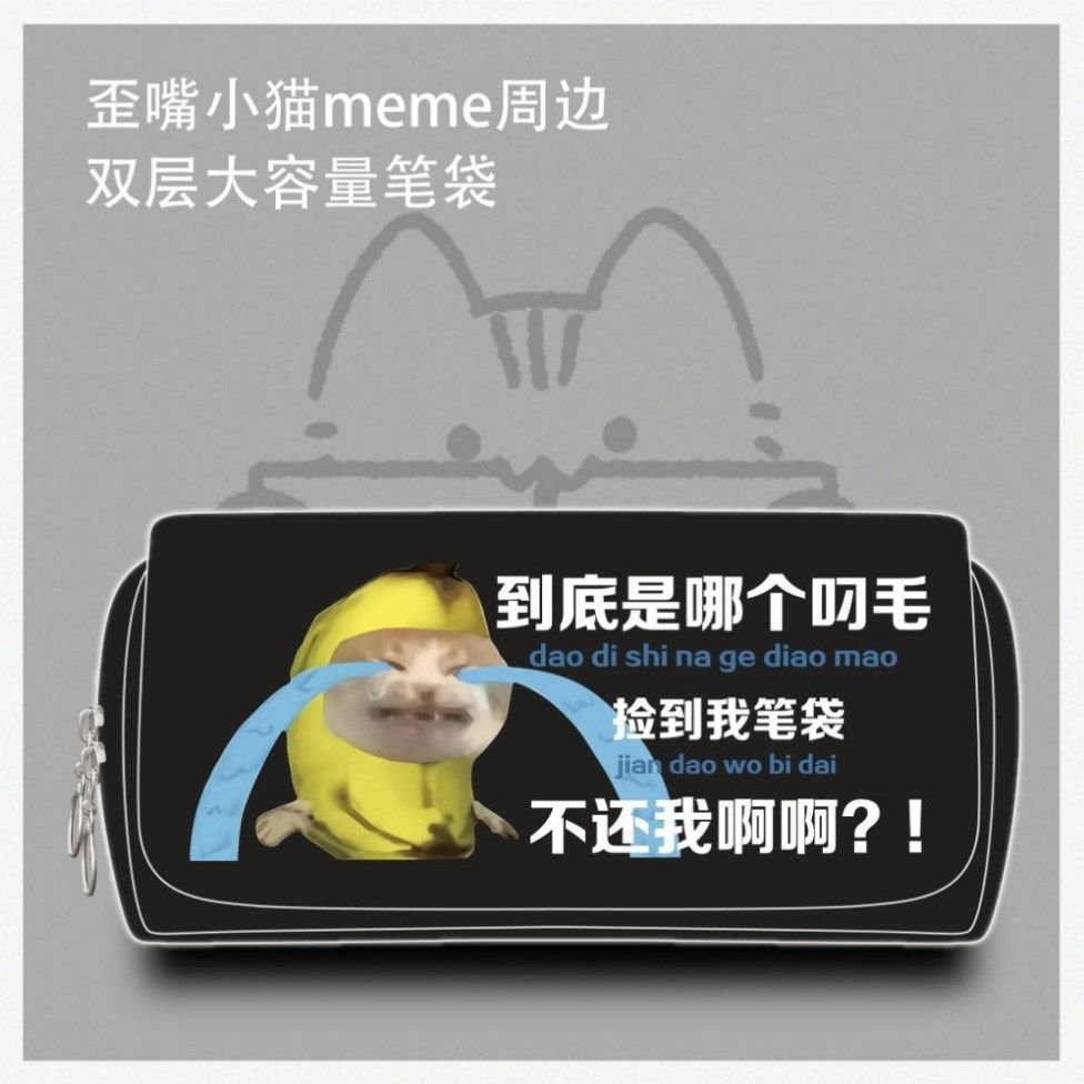 歪嘴小猫笔袋男孩大容量搞怪耐脏铅笔盒学生抽象小众表情包铅笔盒,玩具/童车/益智/积木/模型,笔袋,淘宝优惠券,粉丝福利购,淘宝优惠卷