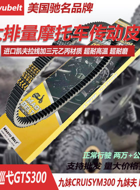 三阳九妹巡弋300妹夫哈士奇皮带