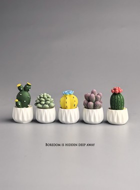 无聊瞭！摆几棵盆栽仙人