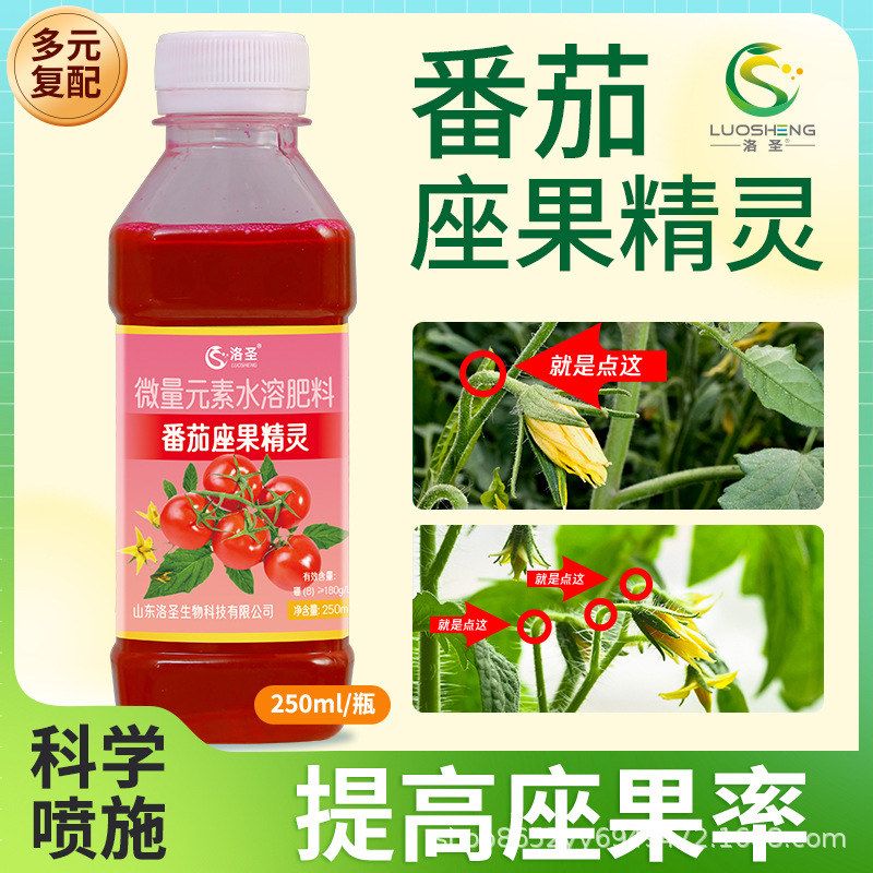 番茄座果灵西红柿坐果授粉药蘸花抹花提高座果率防落果增产增收