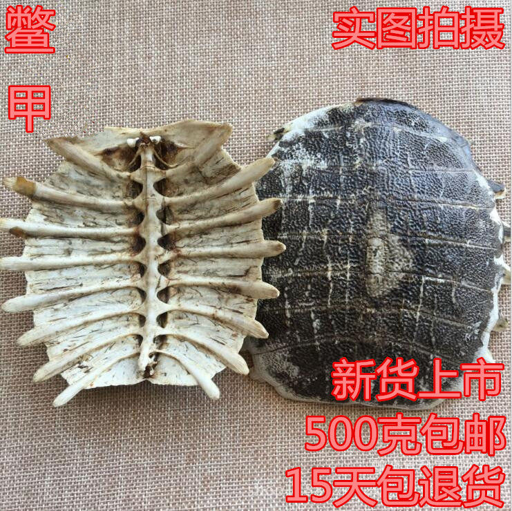 中药材鳖甲 甲鱼壳 鳖壳 团鱼