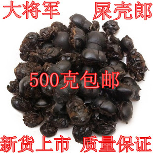 中药材野生大将军 蜣螂虫屎壳郎 水洗货500g 正品质量包邮 清水货