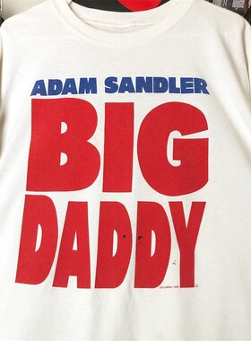 Big Daddy冒牌老爸潮流字母短袖ulzzang港风oversize男女休闲T恤