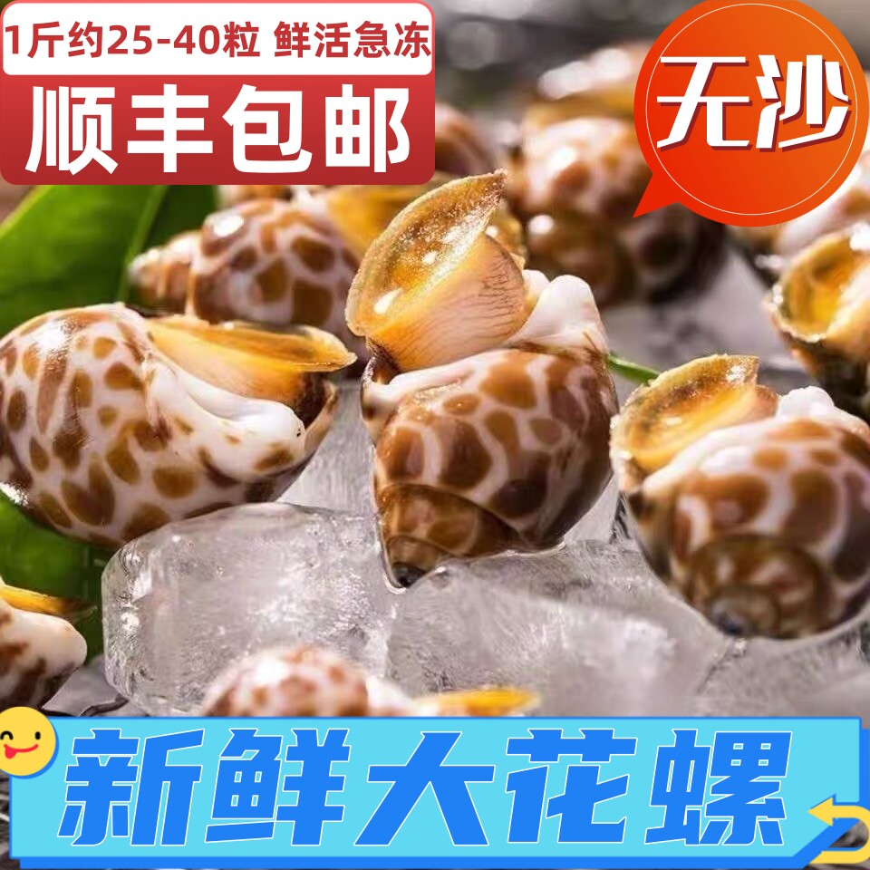 花螺新鲜东风螺鲜活急冻小海螺超大凤螺海鲜水产无沙顺丰包邮