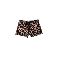 Основной цвет картин