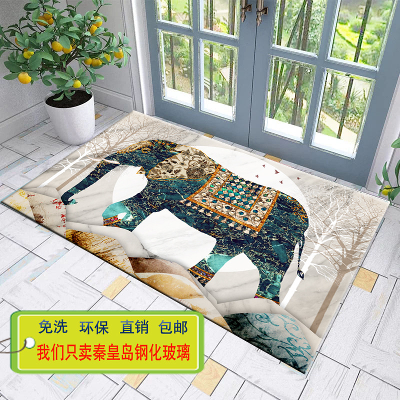 免洗钢化玻璃进门地垫北欧式客厅门垫脚垫地踏脚踏家用定制包邮