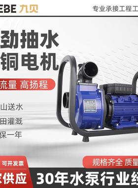 便携式DSU自吸电泵家用农田灌溉自吸式抽水泵大流量高杨程自吸泵