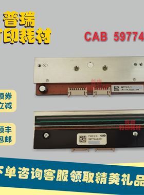 CAB 5977444打印头，德国CAB/凯博，Squix 4/300dpi
