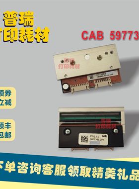 CAB 5977385打印头，德国CAB/凯博，Squix 2/600dpi