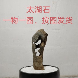 太湖石观赏摆件石英石墨石玲珑石盆景附精品奇石天然原石头D02