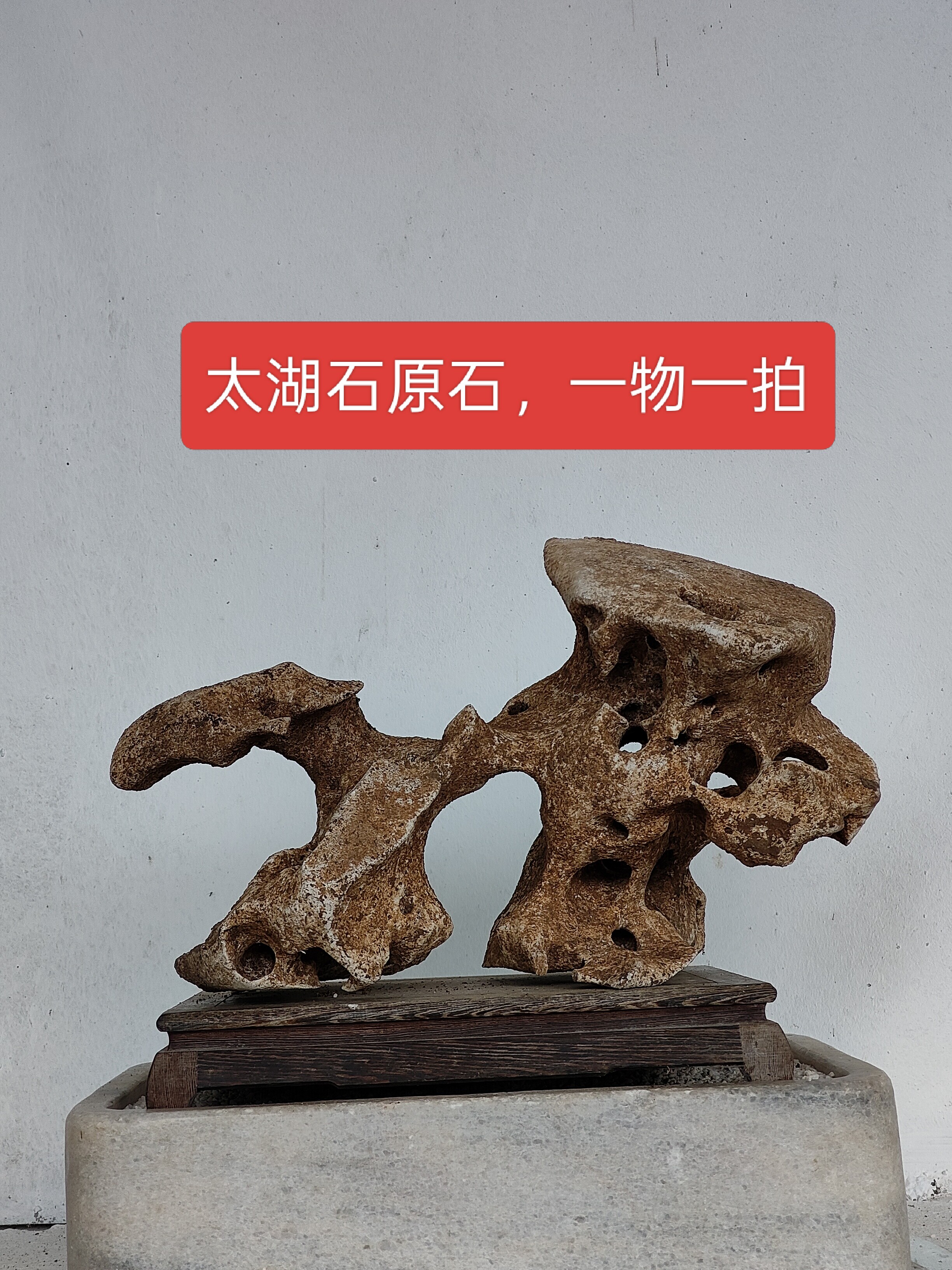 太湖石观赏摆件石英石墨石玲珑石盆景附石奇石天然原石香炉石D08