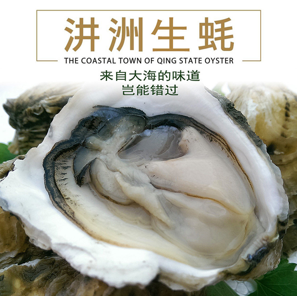 深海生蚝鲜活净化原产地烧烤生蚝