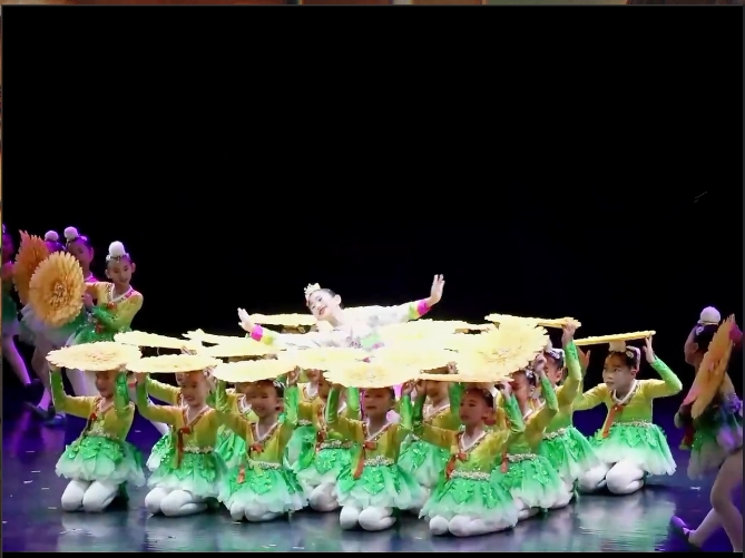 【党的阳光照我成长】第十一届小荷风采舞蹈表演服女童群舞演出服