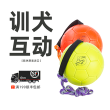 Julius k9狗狗训练球宠物互动玩具皮球狗狗户外足球进口宠物用品